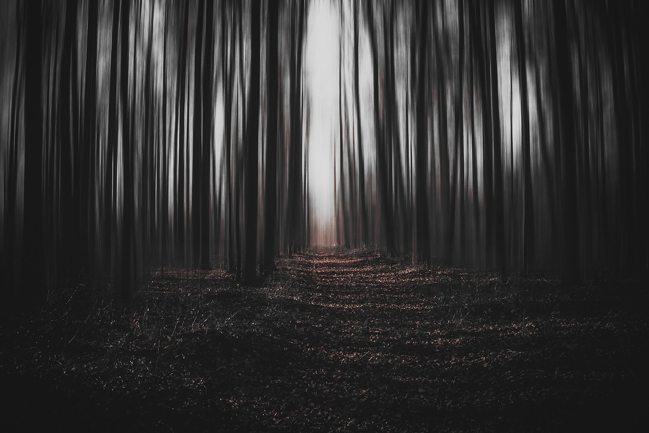 The Boy Who Went Forth to Learn What Fear Was: A Fairy Tale About Being Brave Enough to Be Strange